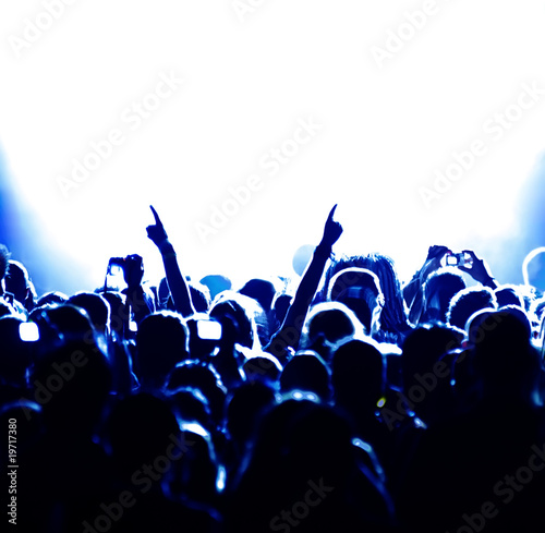 Cheering crowd at concert