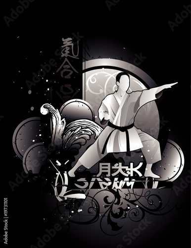 Karate vector