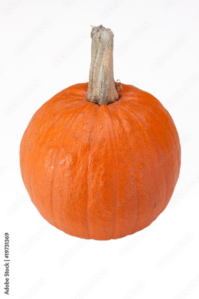 Obraz premium Pumpkin