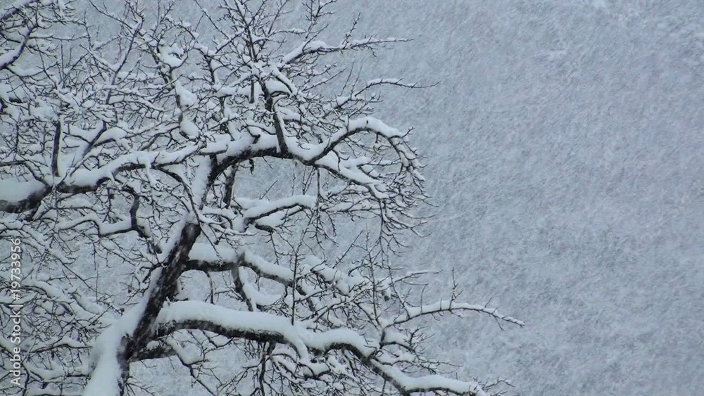 dichter schneefall im winter