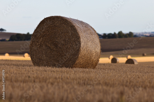Big round bale