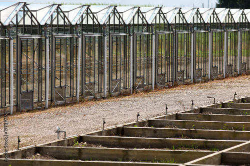 Glass greenhouse
