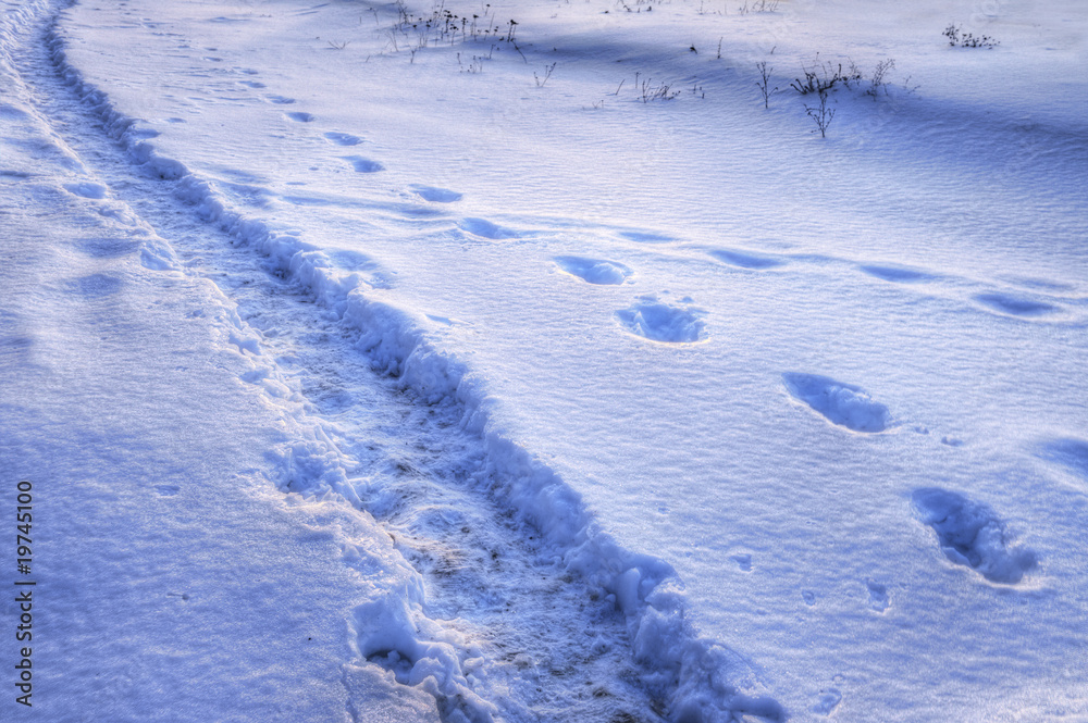 Path and steps on the snow. HDRI image.