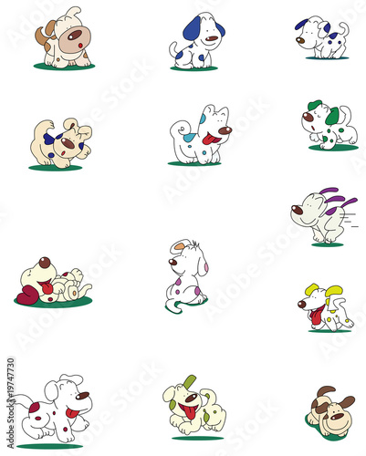 犬　dog