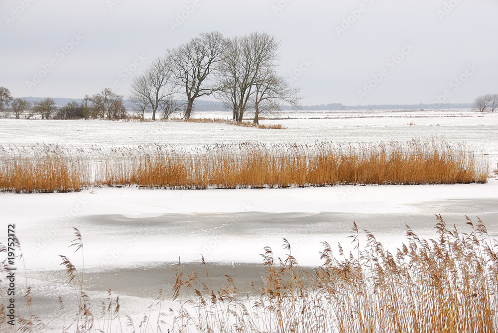 custom made wallpaper toronto digitalWinter landscape - by the river