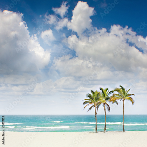Fototapeta Naklejka Na Ścianę i Meble -  Tropical beach paradise with palm trees in Miami Florida