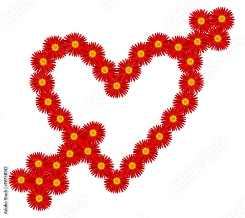 Coeur Je t'aime Fleurs Coup de Foudre Amour Saint Valentin Cœur