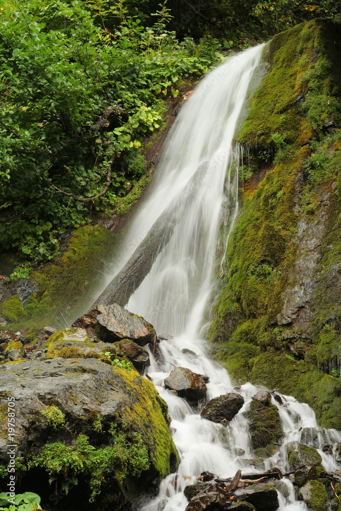 Fototapeta premium falling water