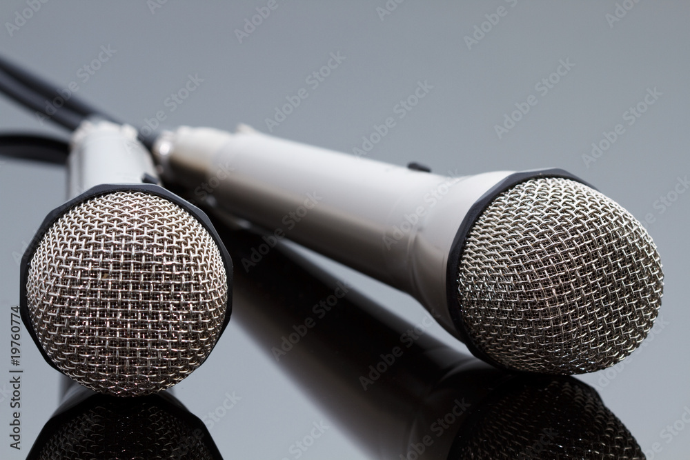 Obraz premium Two microphones