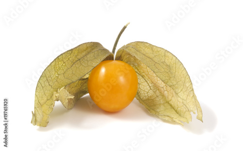 Physalis isolated on white background. Macro photo.