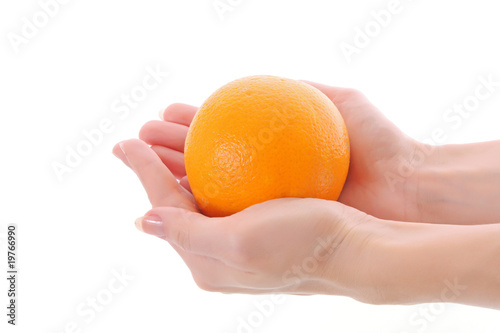 Fresh orange in the hands isolated on white