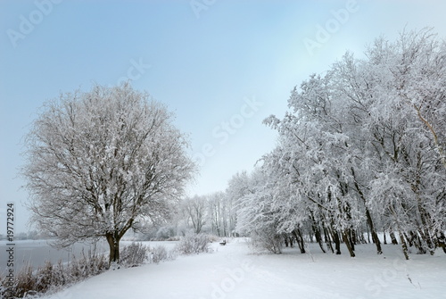 winter landscape in the Netherlands