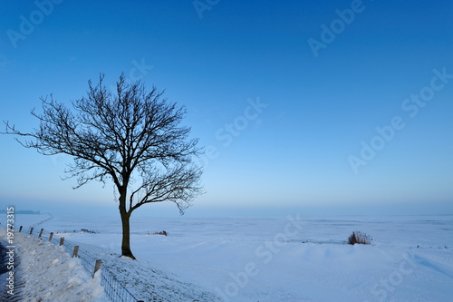 winter landscape in the Netherlands © Eric Gevaert
