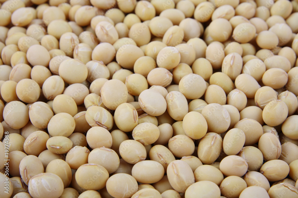 Close up of soy beans