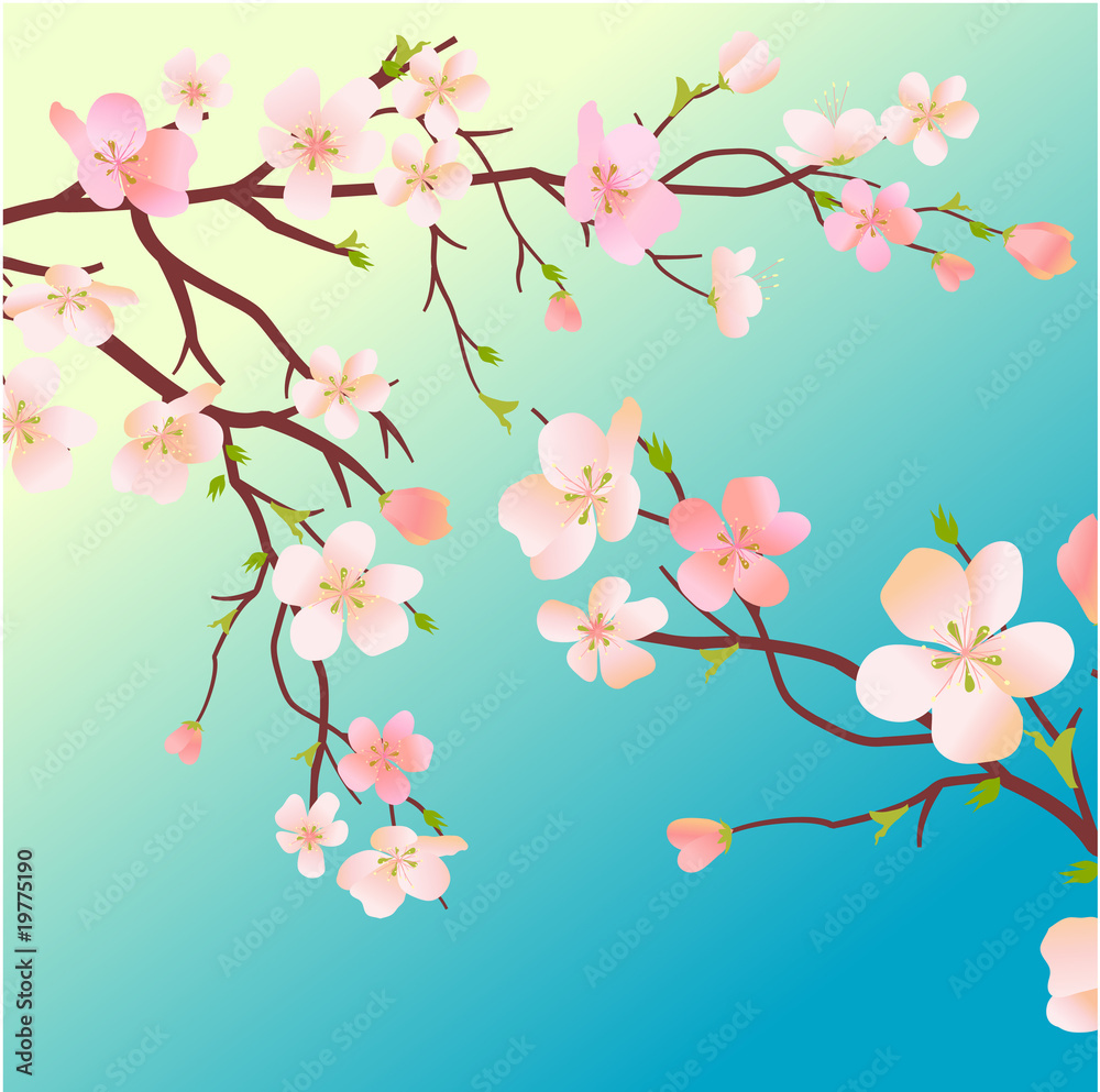 Fototapeta premium Blossoming tree