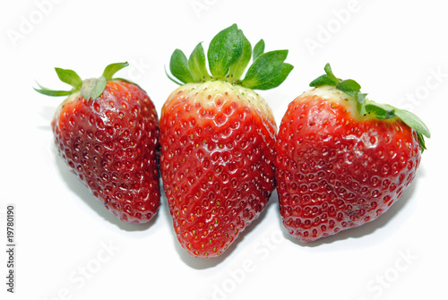 Wallpaper Mural Erdbeeren Torontodigital.ca