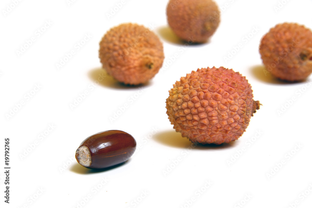 Brown litchi seed Brown litchi seed
