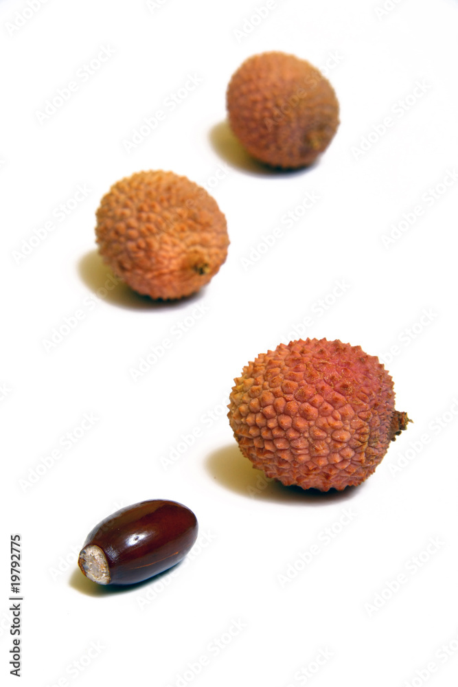 Litchi seed Litchi seed