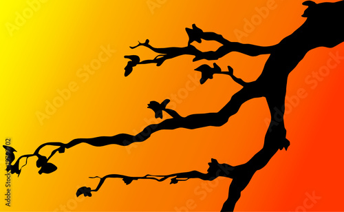 branches on twilight illustration