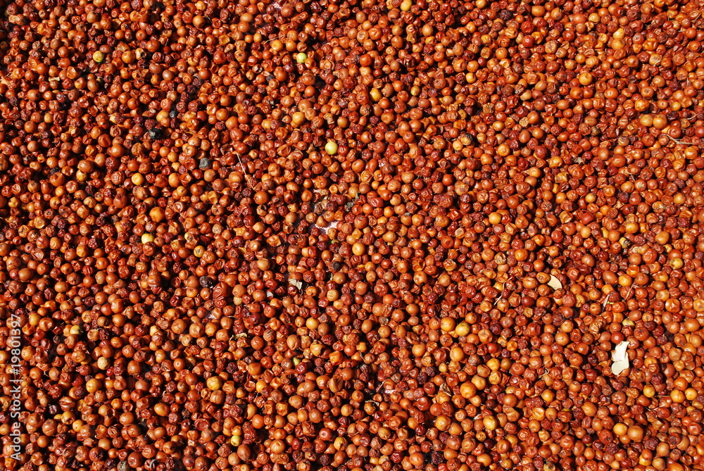 Jujubes séchant au soleil Jujubes séchant au soleil