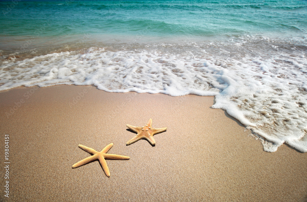 Naklejka premium dwie rozgwiazdy na plaży