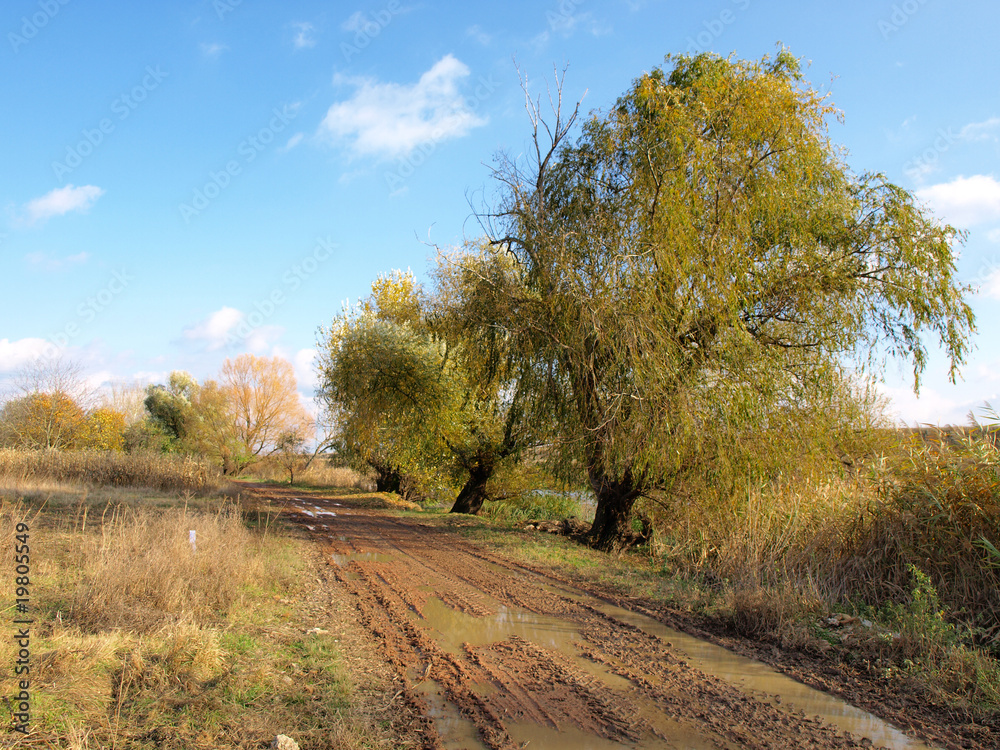 A dirt road winds through the Autumn colors