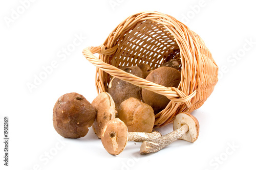 Mushrooms are poured from a basket