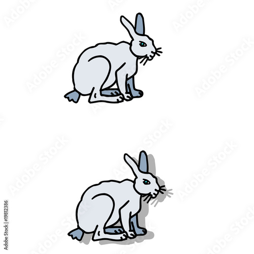 Lapin
