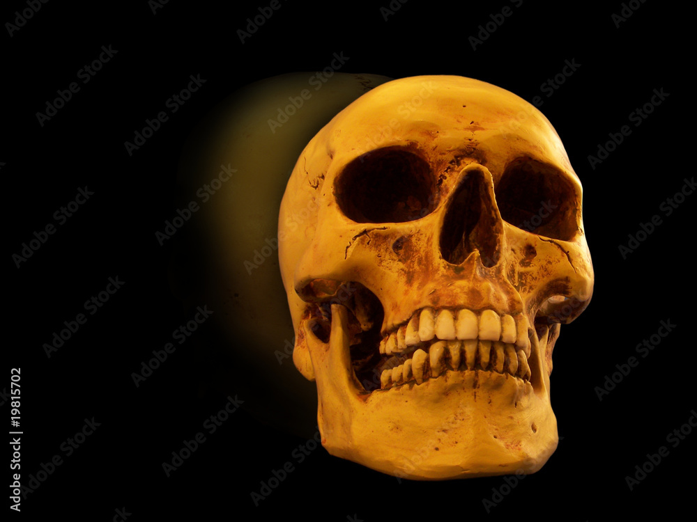 Fototapeta premium Menschlicher Schädel mit Spiegelung