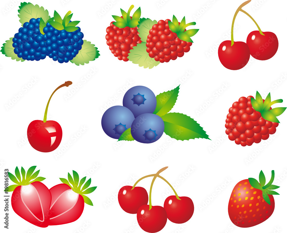 Berry vector Berry vector