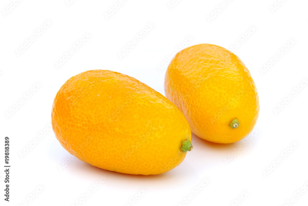 Kumquat 01 Kumquat 01