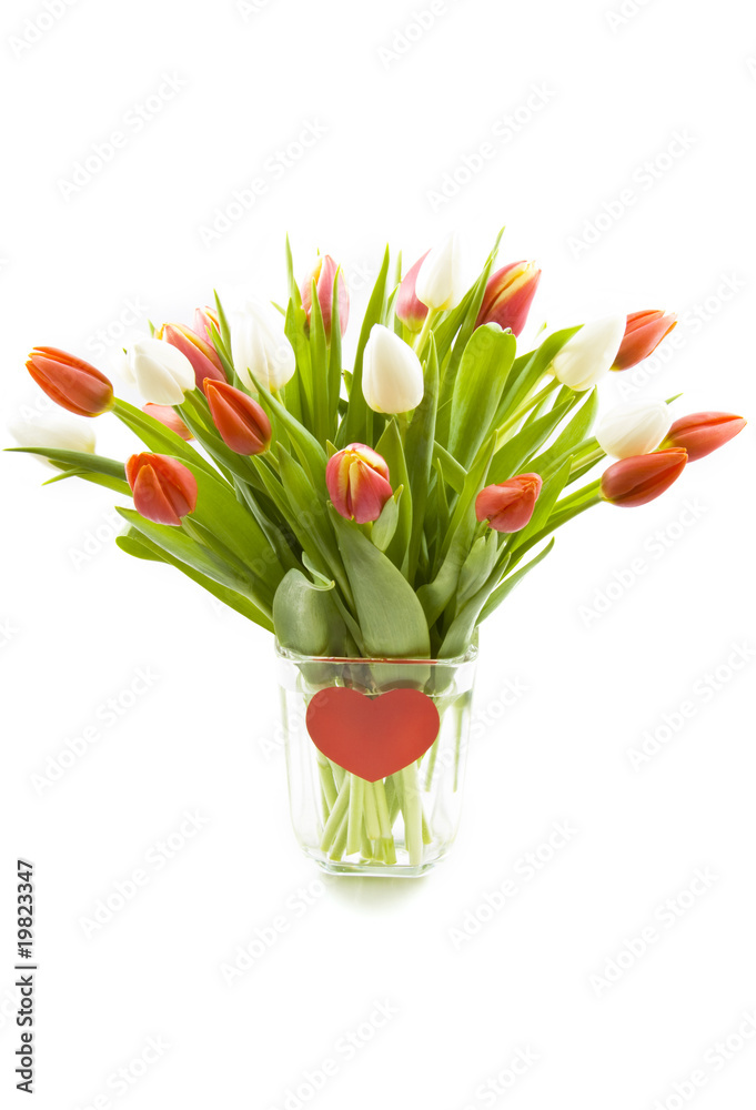 Obraz premium Happy valentine