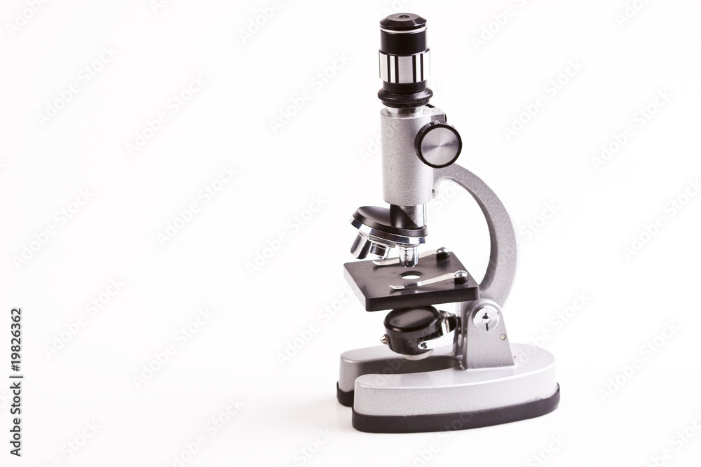 Under the microscope Under the microscope