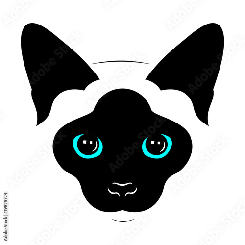 Head of Siamese cats. Vector drawing