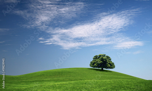 green hill