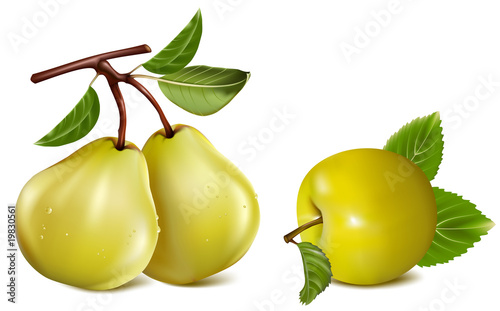Photo-realistic vector. Apple and pears.