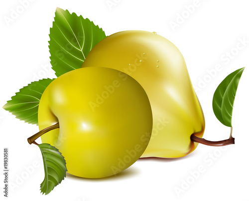 Photo-realistic vector. Apple and pear.