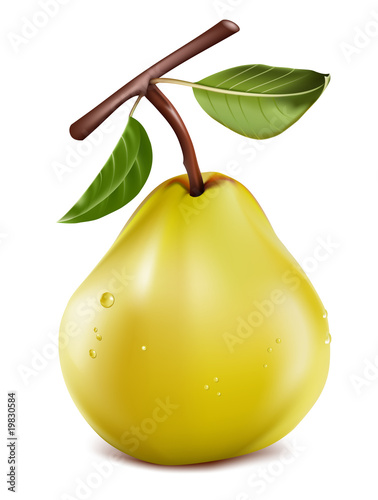 Photo-realistic vector. Ripe pear with water drops.