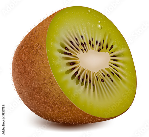 Photo-realistic vector. Kiwi..