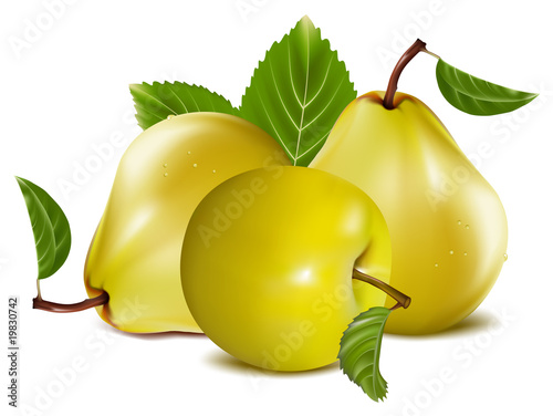 Photo-realistic vector. Apple and pears.