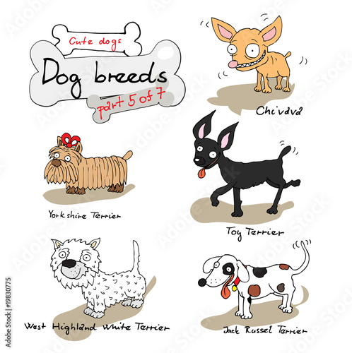 dog breeds 5