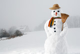 friendly snowman  with straw hat 03