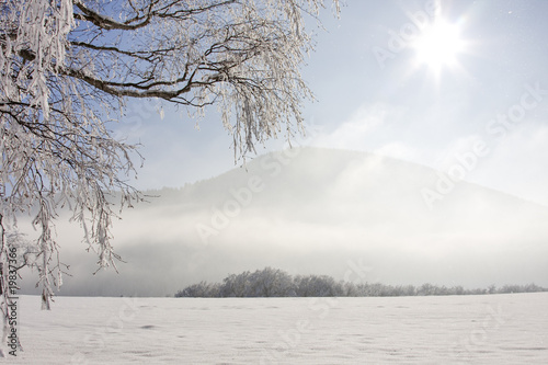 winterlandschaft photo