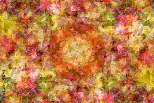 Abstract flowers background (SOFT FOCUSED)