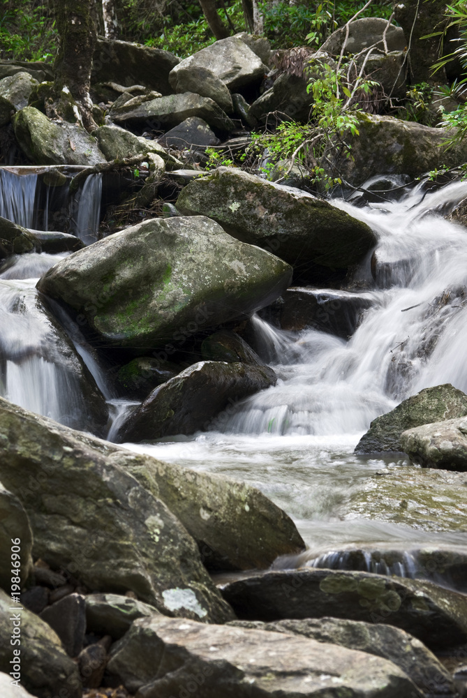 Fototapeta premium A water spring in forest