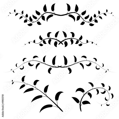 Ornements de feuilles (détouré)