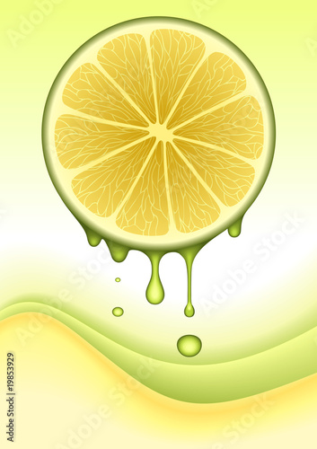 Orange Lemon Concept. VECTOR IMAGE