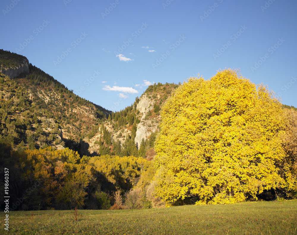 Fototapeta premium Hilly Landscape