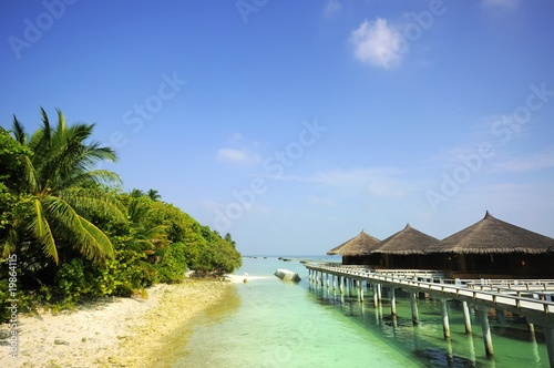 beach scene at Maldives