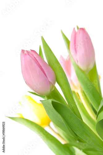 Beautiful pink tulip bouqet